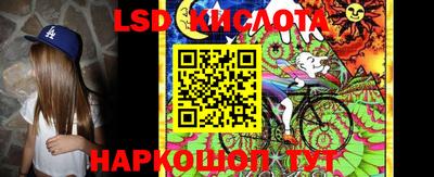 spice Новодвинск