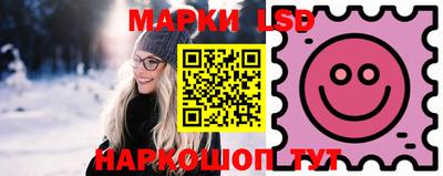 spice Новодвинск