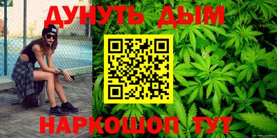 spice Новодвинск
