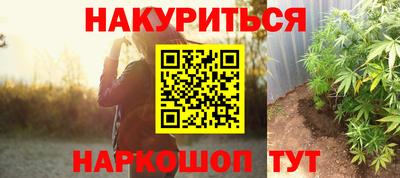 хмурый Новозыбков