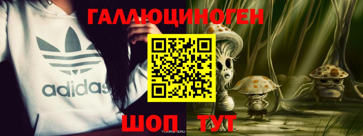 Псилоцибиновые грибы мухоморы  Псилоцибиновые грибы Magic Shrooms  Прохладный  купить наркоту  Вход с VPN 